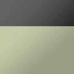 Cool Yellow Metallic / Mineral Gray Metallic (E6P)